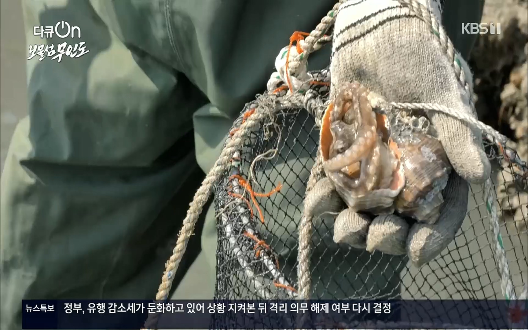 다큐 On.E141p.H264-F1RST.mp4_20220530_202715.602.jpg