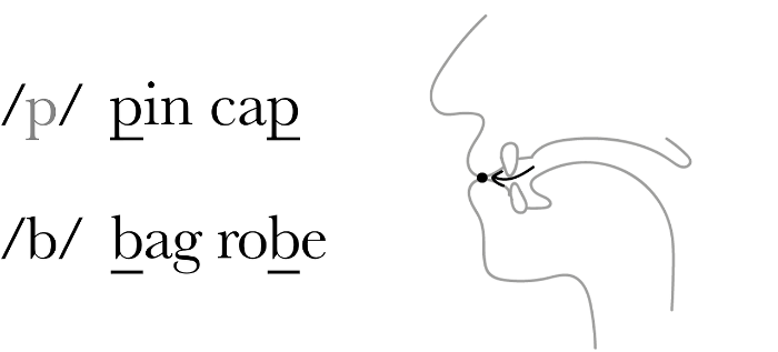 파열음 Plosive or Stop