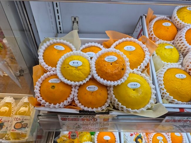 귤 전문점 noma-noma(のま果樹園松山大街道店)
