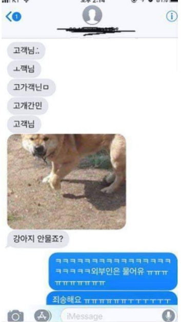  유작이 될 뻔한 사진