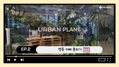 카페플렌트 이미지