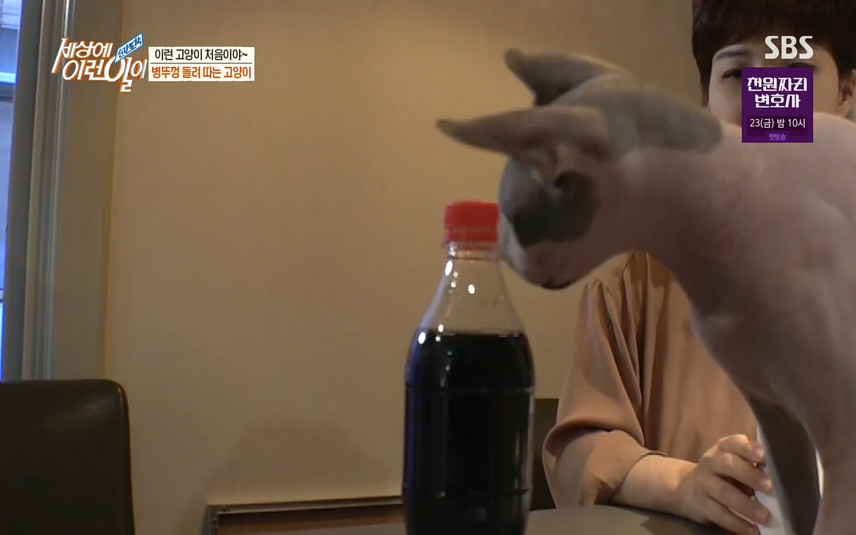 순간포착 세상에 이런일이.E1197p.H264-F1RST.mp4_20220914_202413.205.jpg