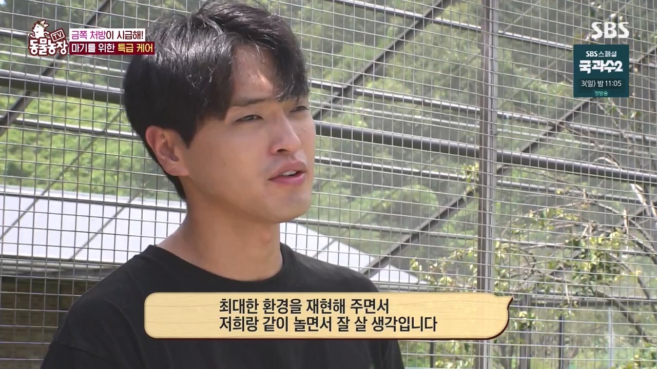 TV 동물농장.E1135.230828p-NEXT.mp4_20230827_180825.242.jpg