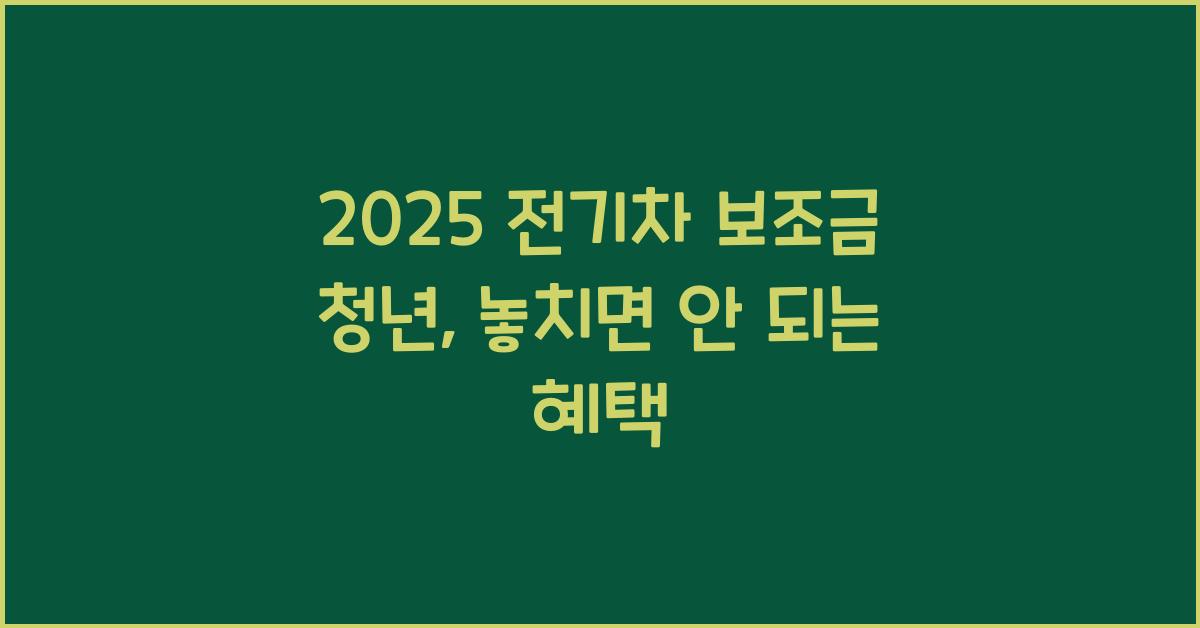2025 전기차 보조금 청년