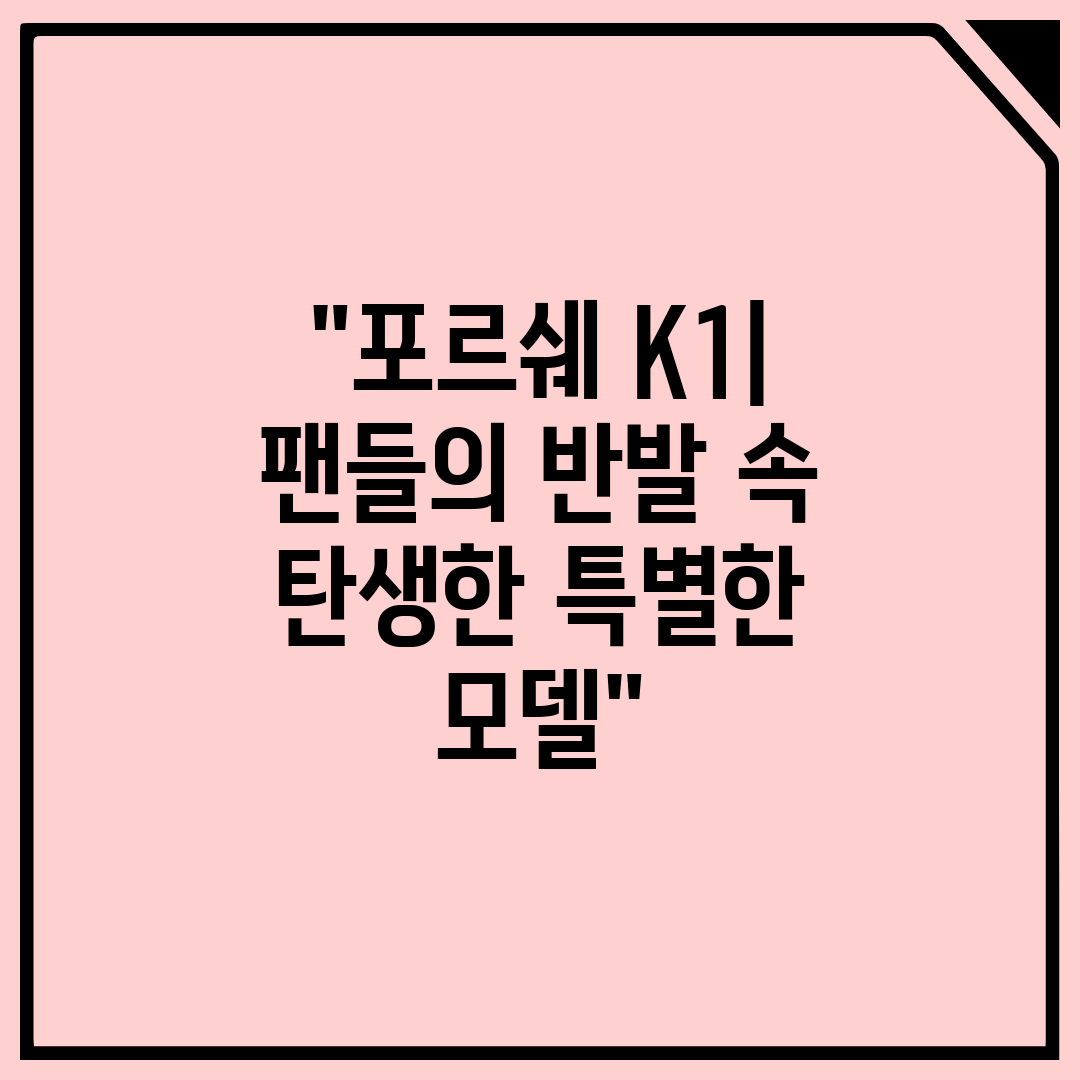 포르쉐 K1 팬들의 반발 속 탄생한 특별한 모델