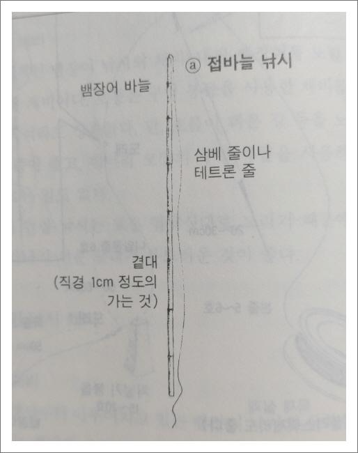  뱀장어의 강 낚시