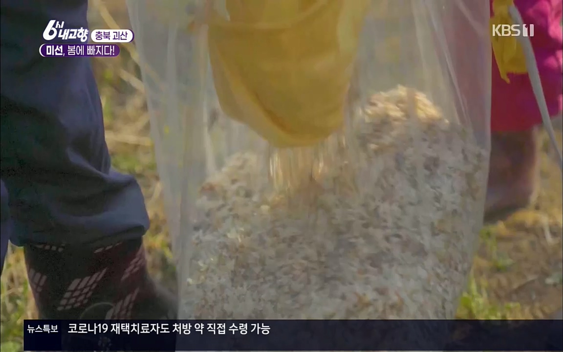 6시 내고향.E7509.220413p.H264-F1RST.mp4_20220418_194952.093.jpg