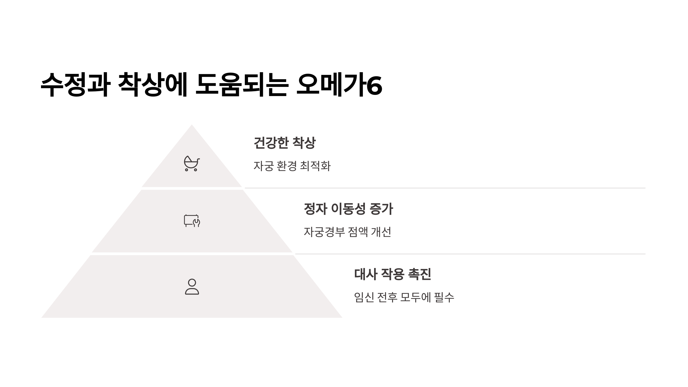 임신 준비 영양소 – 오메가6와 착상 도움