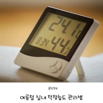 여름철 실내 적정 습도 완벽 관리 가이드_12