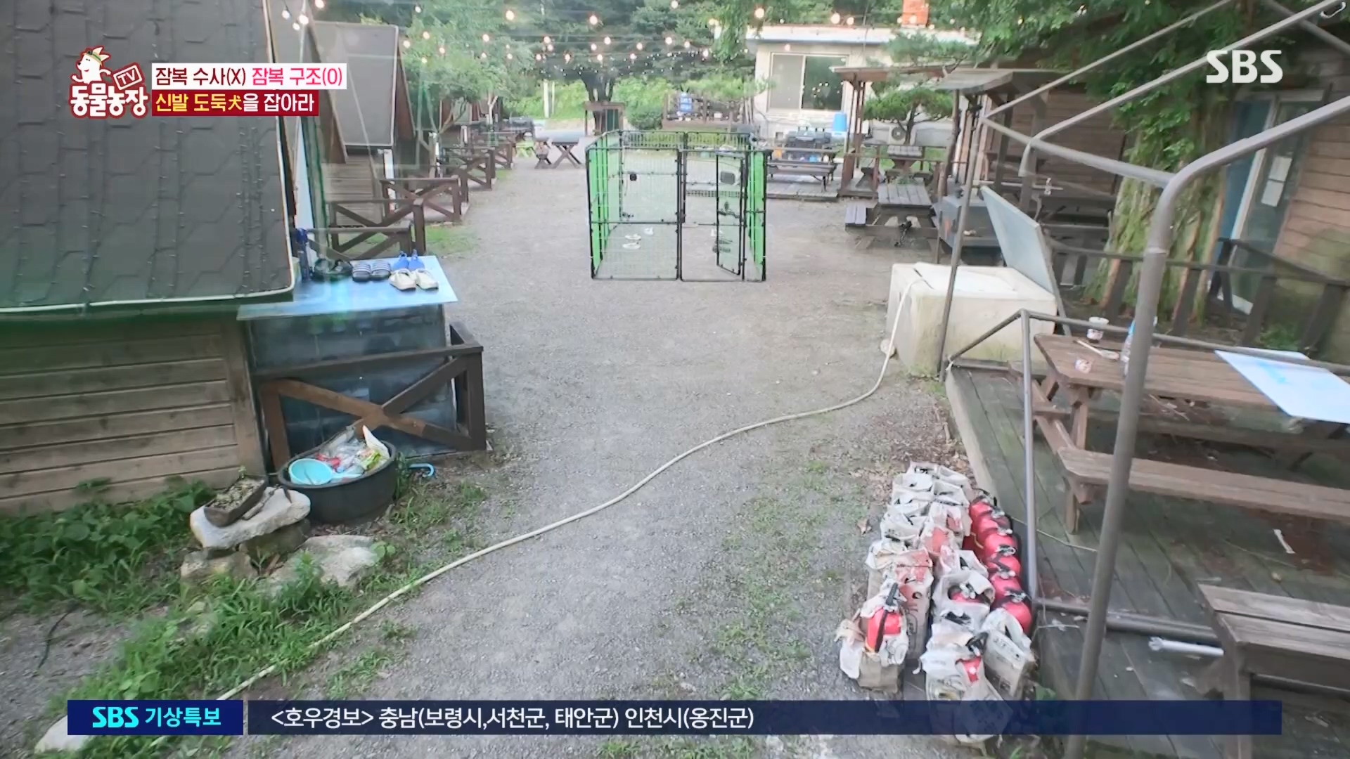 TV 동물농장.E1130.230723p.H264-F1RST.mp4_20230723_171221.371.jpg