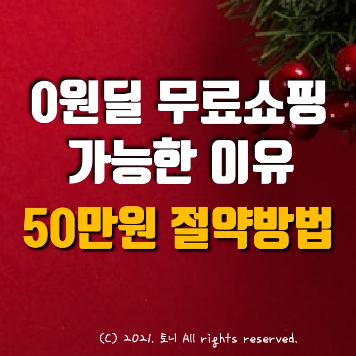  (11월) 0원딜 무료쇼핑. 50만원 절약 노하우 (앱테크 추천)