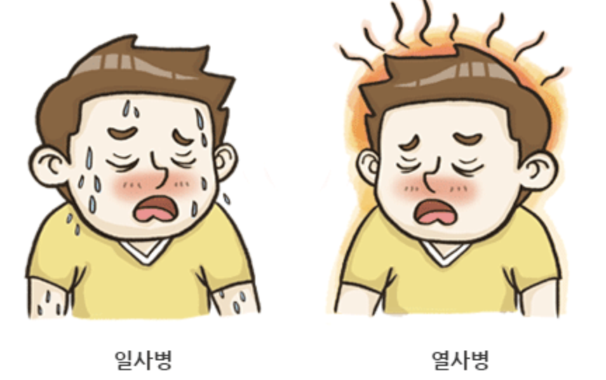  열사병 일사병이란? 여름 건강 챙기기!