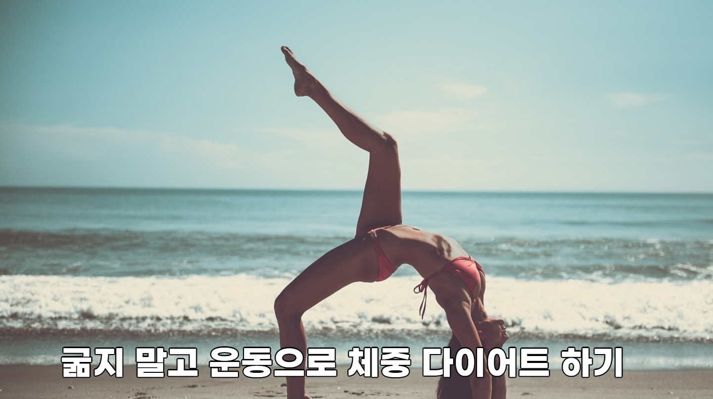  굶지 말고 운동과 건강한 식단으로 체중 다이어트 하기