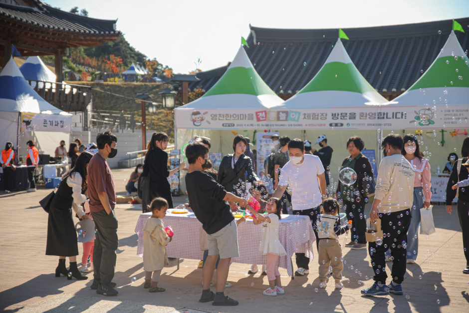 제 22회 영천한약축제 with 작약꽃 기본정보와 프로그램 소개