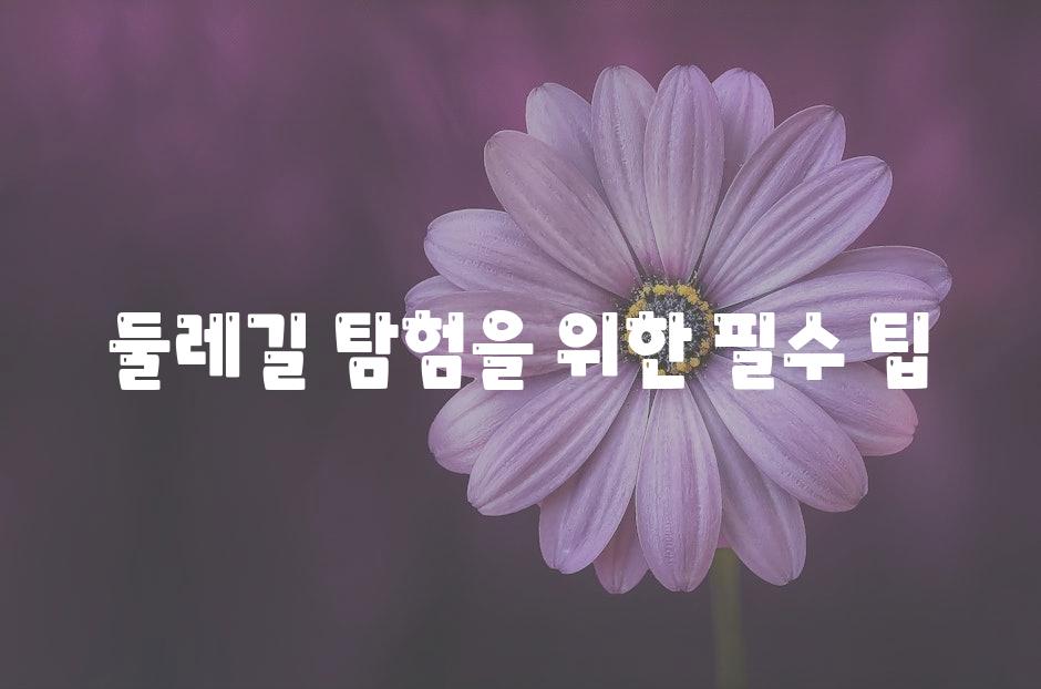 둘레길 탐험을 위한 필수 팁