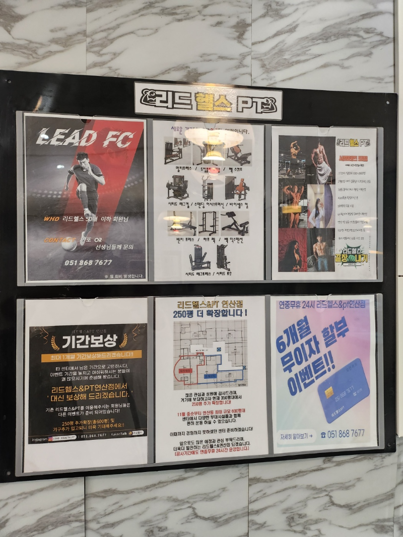 리드헬스