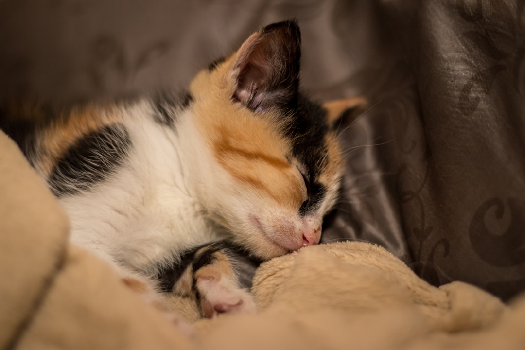 Sleep.