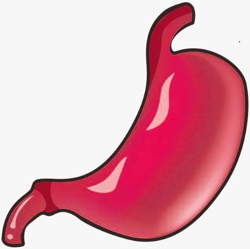  전세계 위암 발병률 1위 한국 위암증상 및 치료