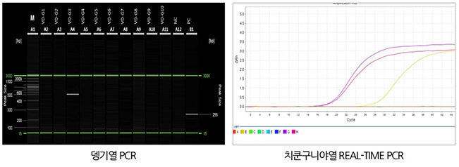  코로나 다시 재유행 해외여행 떠나기 전 주의사항
