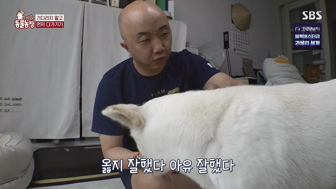 TV 동물농장.E1179.240708p-NEXT.mp4_20240707_160436.212.jpg