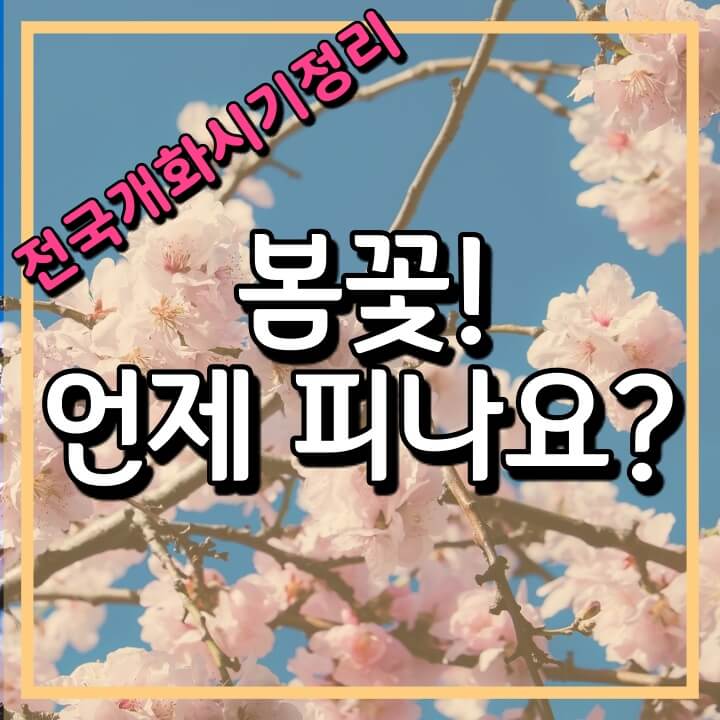  2021년 봄꽃, 벚꽃 개화 시기 (벚꽃 많이 핀 곳 주소)
