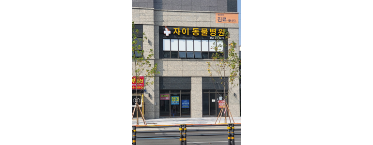 대구 서구 동물병원