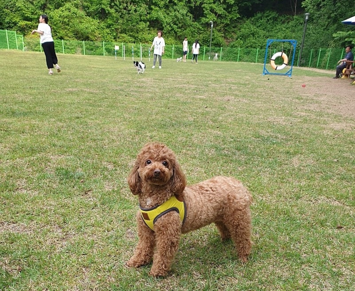 국립자연휴양림관리소(산음자연휴양림) 이미지