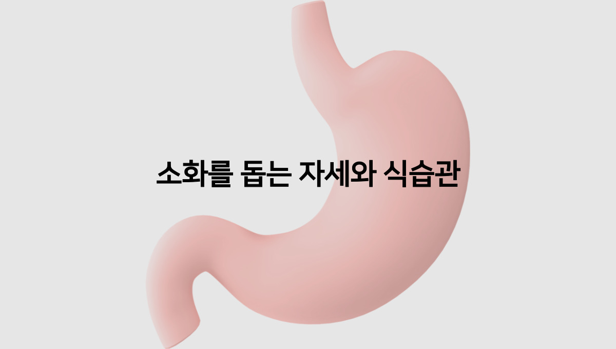  소화가 잘되는 자세와 식습관에 대해 알아보자