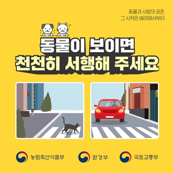 로드킬동물신고