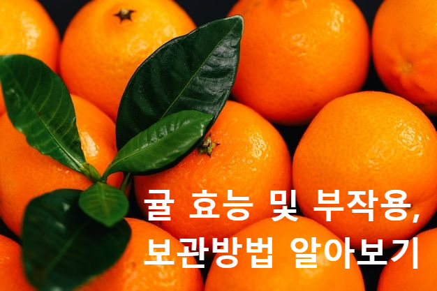  겨울철 과일 - 귤 효능 제철 보관법 칼로리 부작용 알아보기
