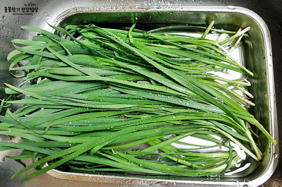 오이 김치 담그는 법 아삭아삭한 부추 오이 김치 담그는 법 38