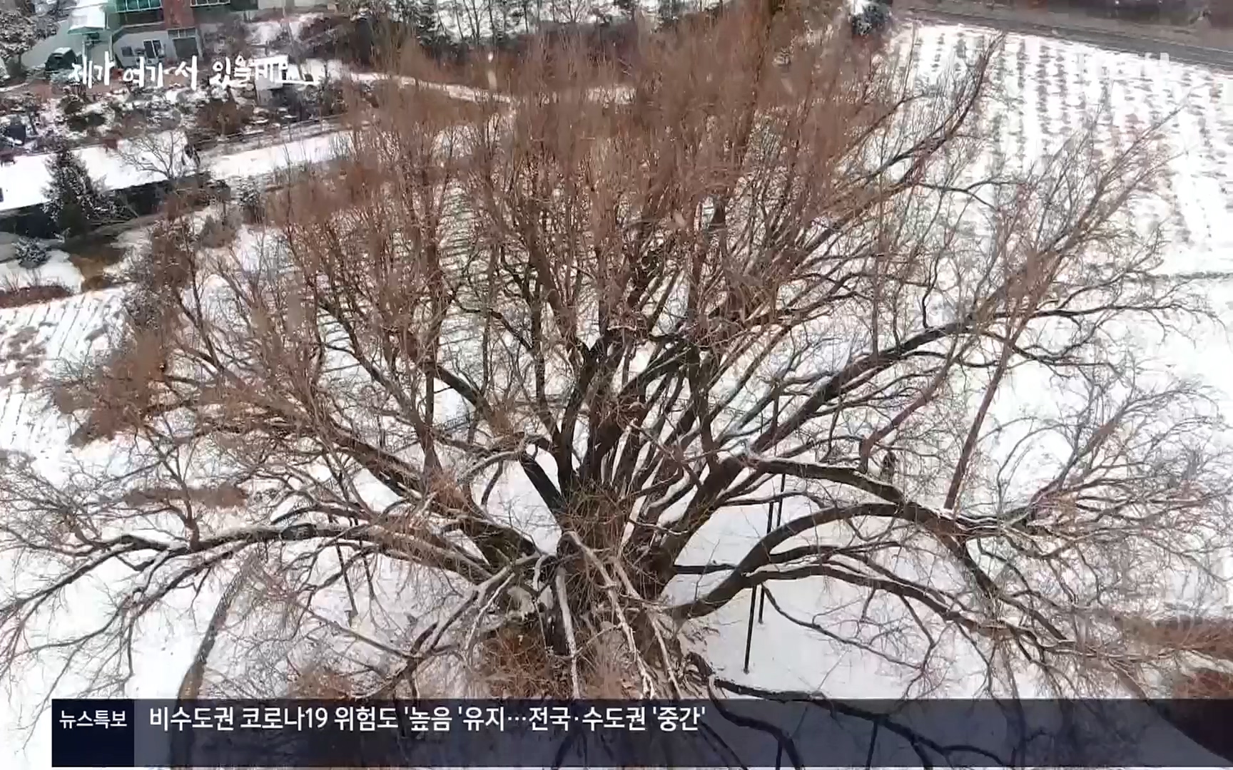 다큐 인사이트.E124.220908p.H264-F1RST.mp4_20220912_143735.762.jpg