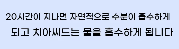  20시간이 지나면 자연적으로 수분이 흡수하게 되고 치아씨드는 물을 흡수하게 됩니다