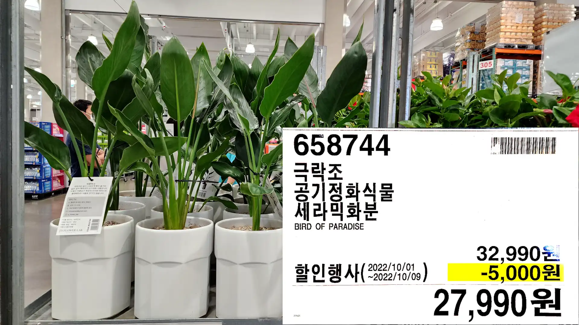 극락조
공기정화식물
세라믹화분
BIRD OF PARADISE
27&#44;990원