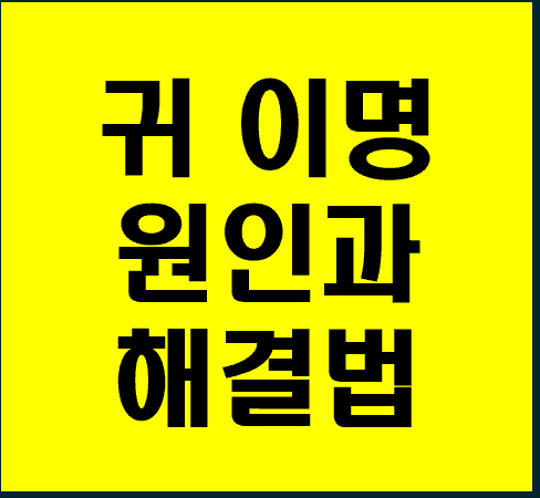 귀 이명 원인