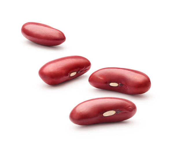 팥 효능 10가지 부작용 보관법 29