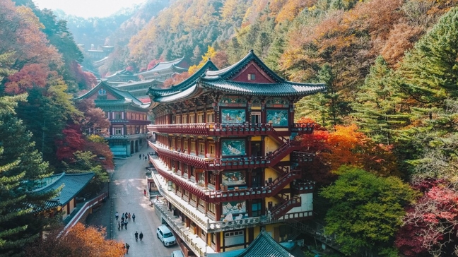 국내 1박 2일 여행 추천 : 연차 하루로 떠나는 가평&middot;단양&middot;군산&middot;제주 루트 &amp; 비용 가이드