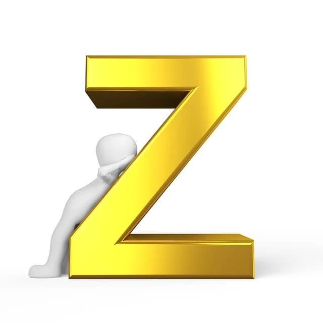 Z세대 디지털 노마드가 선호하는 기술과 도구