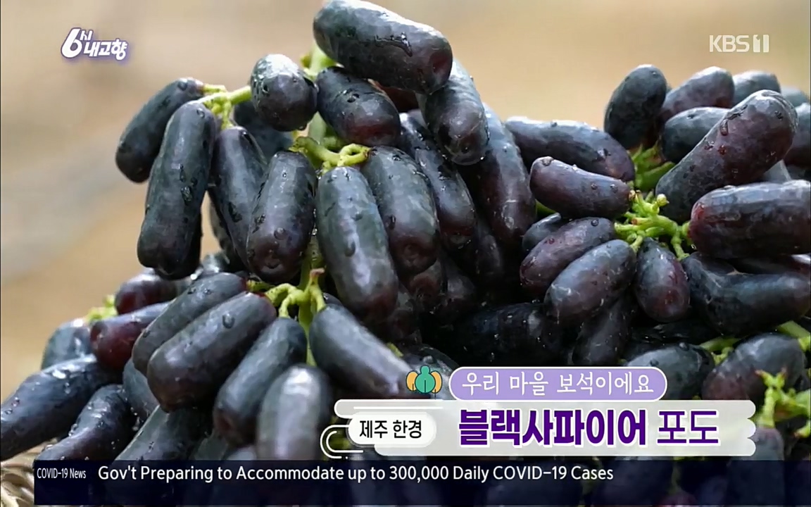 6시 내고향.E7602.220824p.H264-F1RST.mp4_20220825_164455.589.jpg