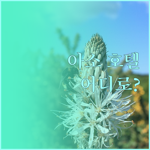 아소 호텔 완벽 분석! 료칸, 온천,