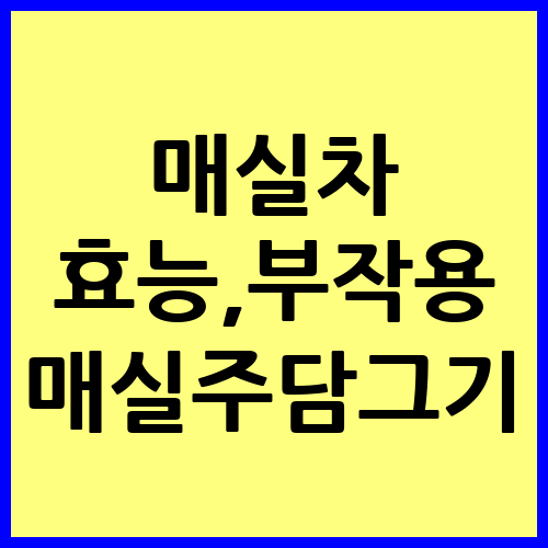 매실차 효능