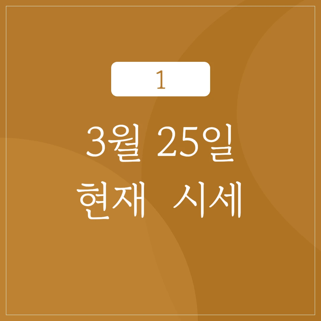 2024년 3월 25일 현재 금 시세