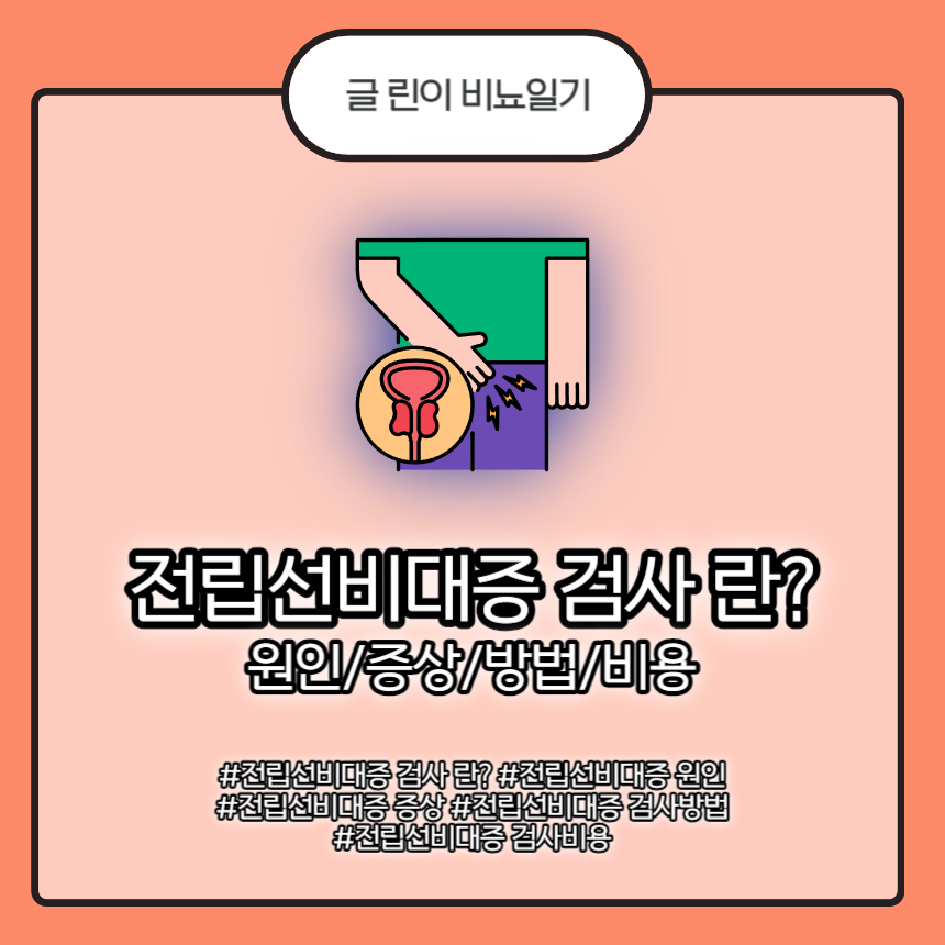  전립선비대증 검사 란? 원인/증상/방법/비용