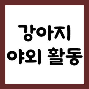 강아지 야외 활동1