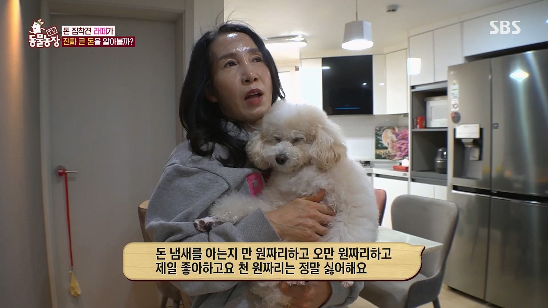 TV 동물농장.E1107.230205p.H264-F1RST.mp4_20230205_173933.605.jpg