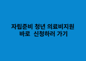 자립준비 청년 의료비지원 바로 신청하러 가기