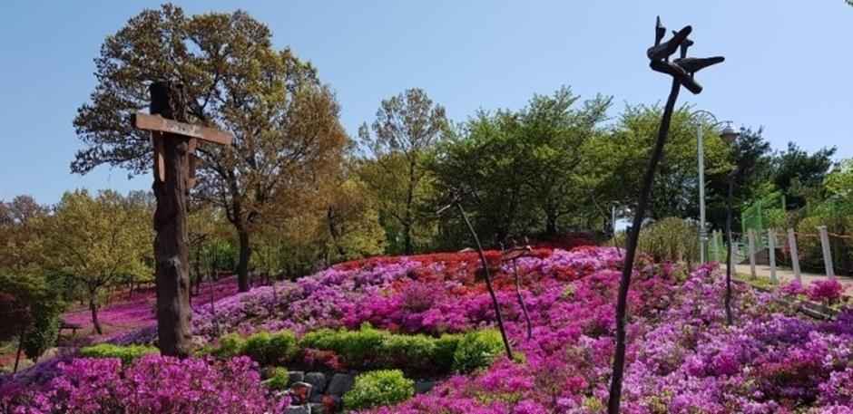 군포 철쭉동산