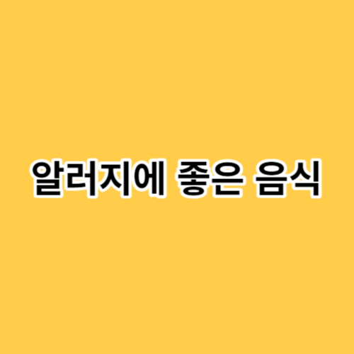 알러지에-좋은-음식