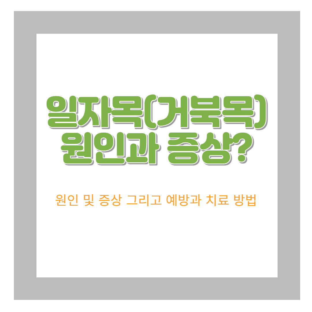  일자목(거북목)증후군 원인과 증상 그리고 예방치료방법