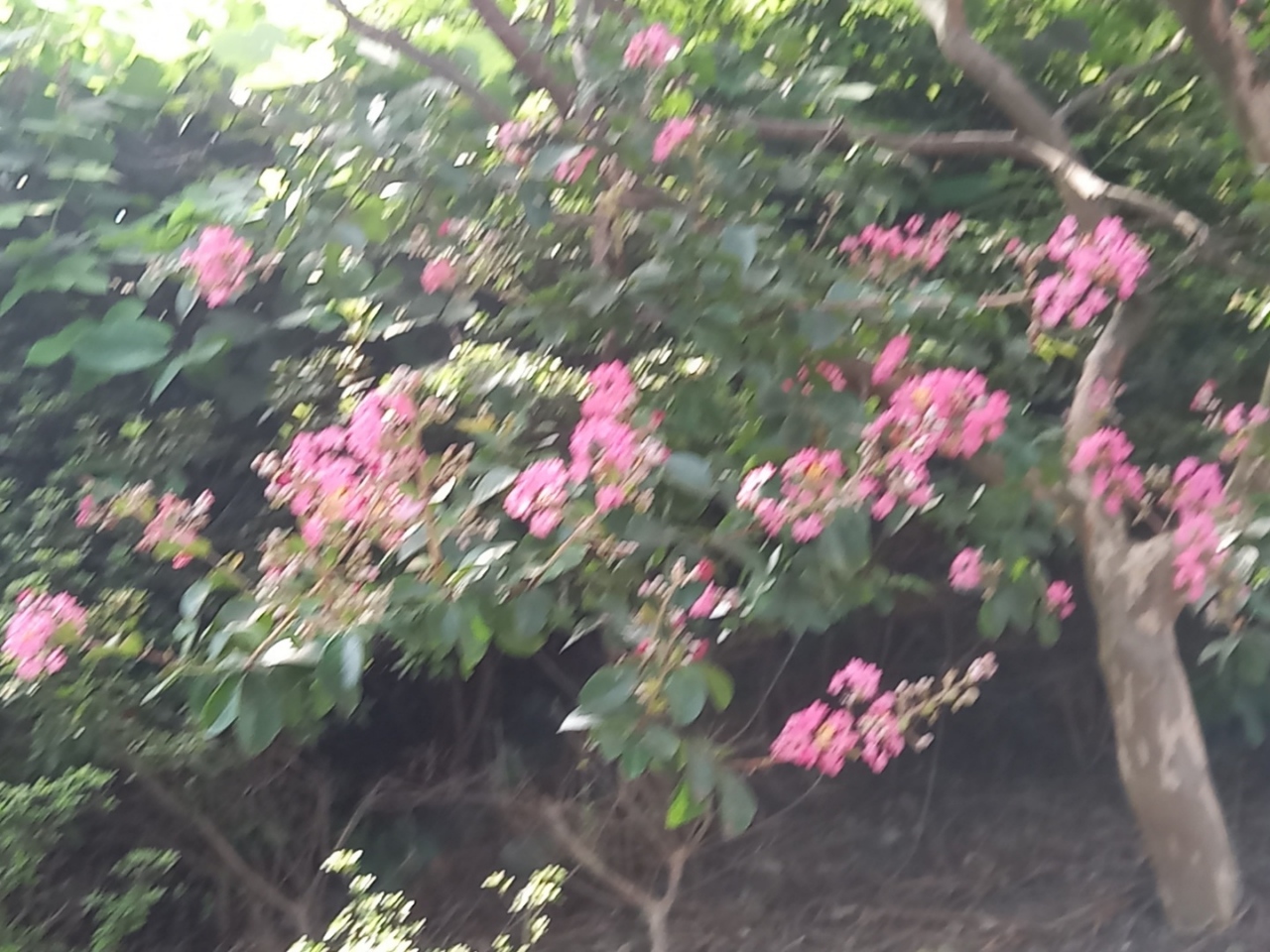 img.jpg